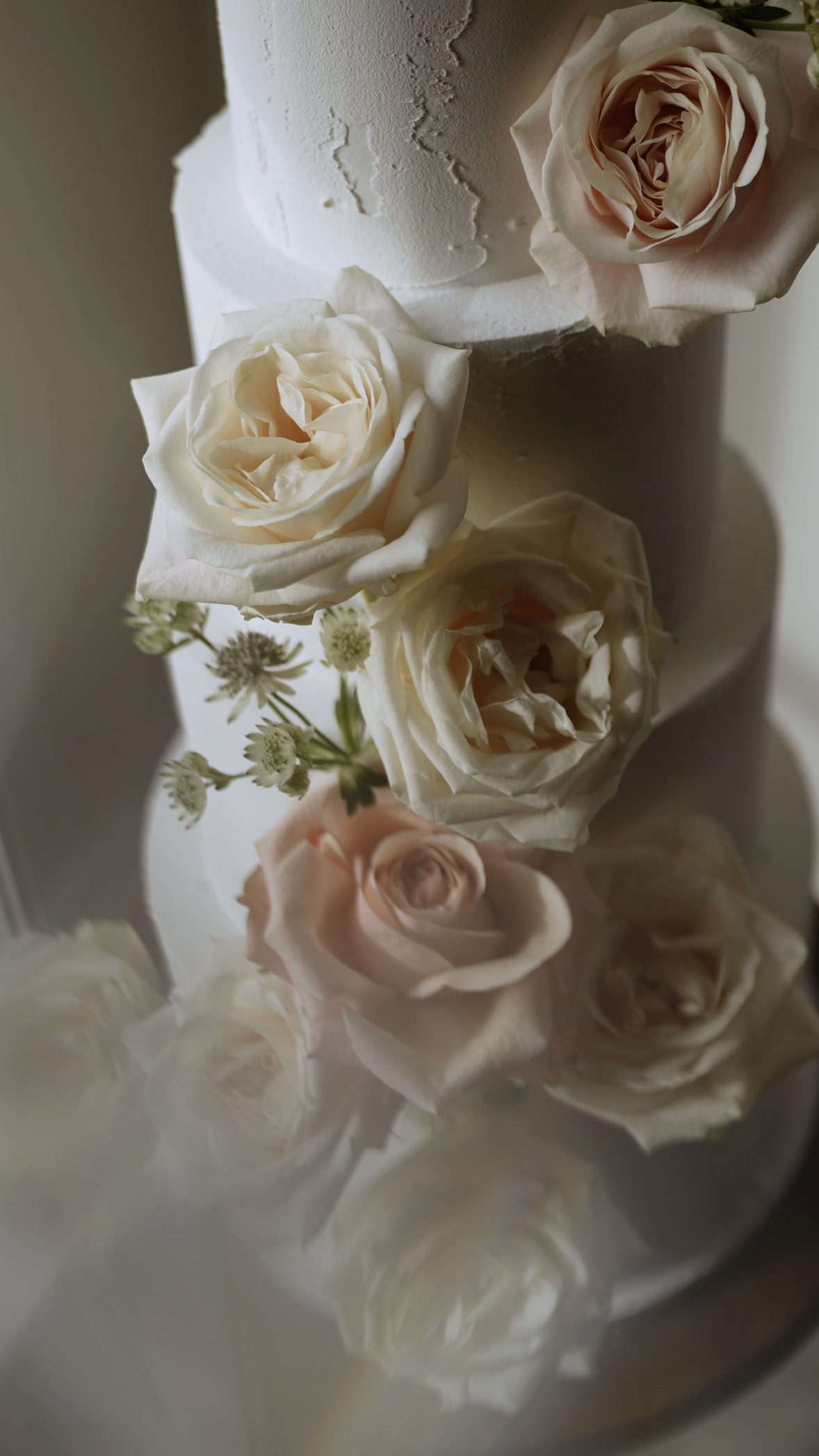 Scherm­afbeelding 2024-03-22 om 08.51.58